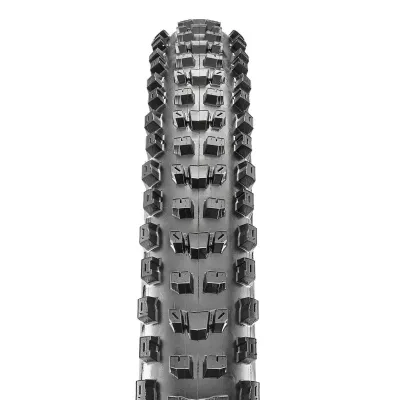 Maxxis Dissector 29x2.40WT 3C MaxxTerra/DD/TR - Bike Tire