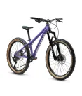 EARLY RIDER - HELLION 24 ELECTIC PURPLE