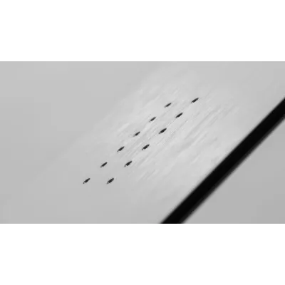 KORUA DART | сноуборд дъска KORUA DART | сноуборд дъска