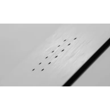 KORUA DART | сноуборд дъска