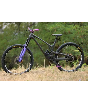 EVIL Offering V2 Custom L by TrueRiders | Планински велосипед