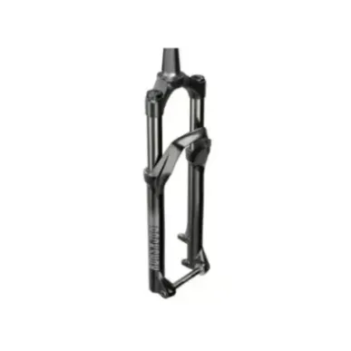 RockShox Recon GLD RD 2R 29 120 Suspension - Suspension Fork