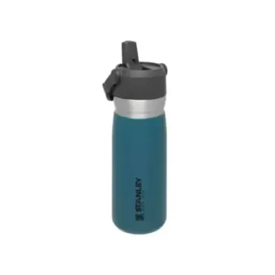 Stanley Iceflow Flip Straw Water .65L 22oz - Water Bottle