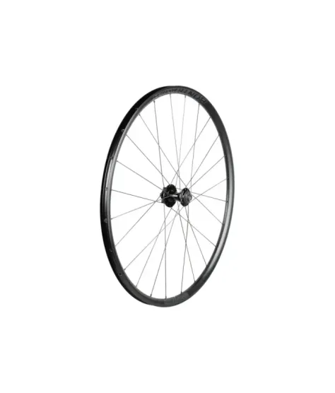 Bontrager Paradigm SL 6-Bolt Disc 24H 700C Road Wheel - Rim