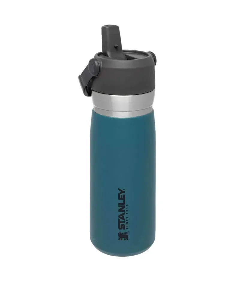 Stanley Iceflow Flip Straw Water .65L 22oz - Water Bottle
